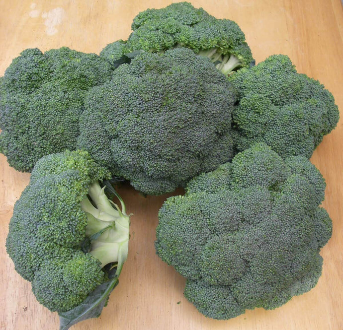 FRESH BROCCOLI CROWNS 5LBS (Aprox. 6 Heads)